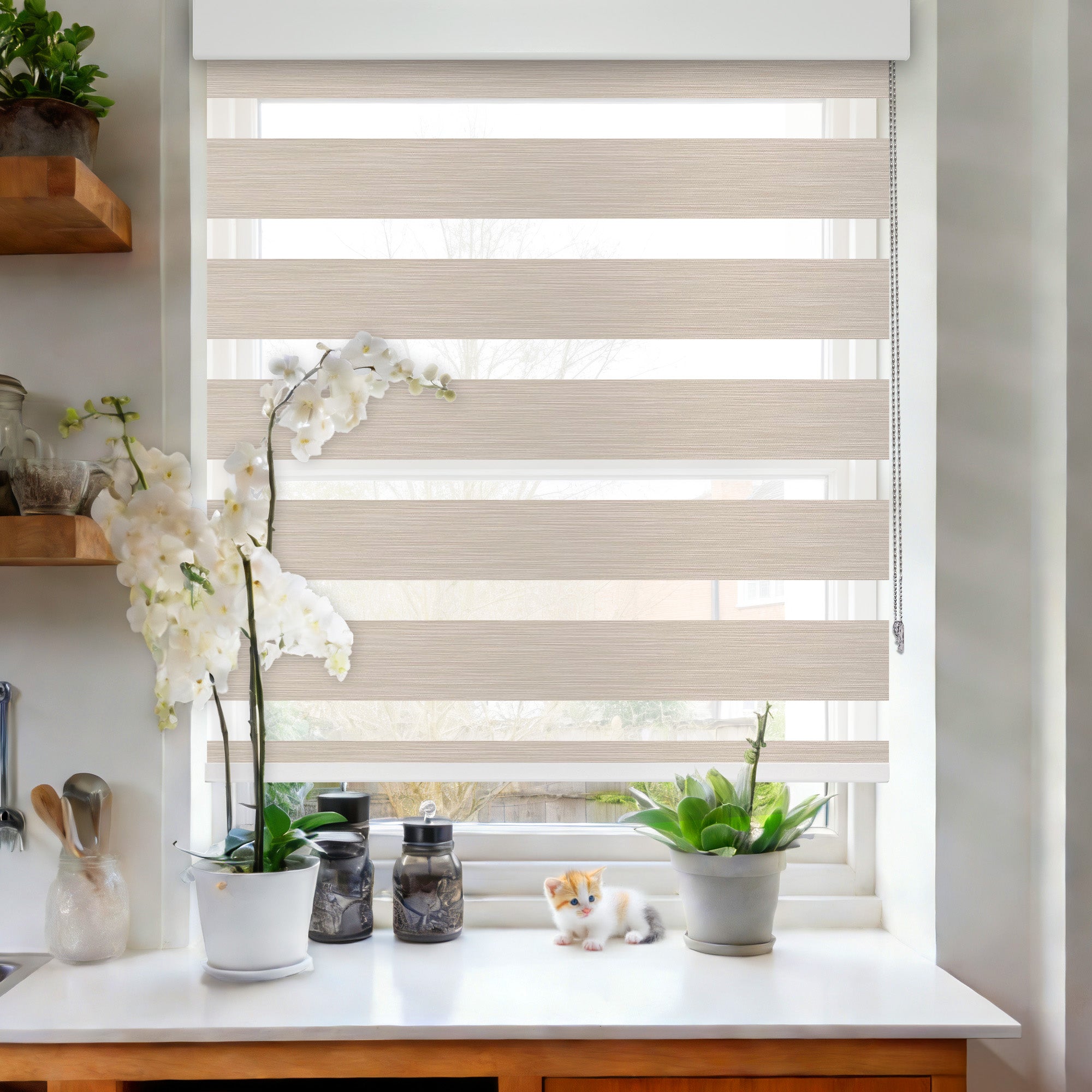 Manual Room Darkening Roller Zebra Blinds, Lift Cord – cozylinkhome